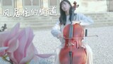 《风居住的街道》用大提琴拉出二胡的忧伤 cover:矶村由纪子丨CelloNaduo