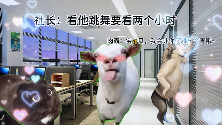 【猫meme】团建，但是去密室逃脱！