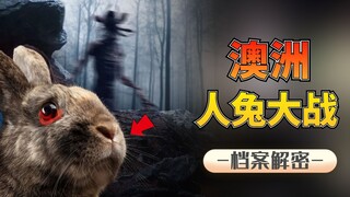 Perang Manusia vs Kelinci: 10 Miliar Ekor Kelinci Menjadi Bencana, Lima Kali Kampanye Pengepungan Se