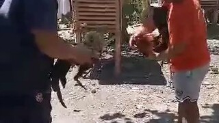 5x winner Gilmore hatch .. win pero Patay ..