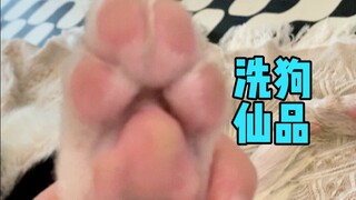 Regarding your question about how to wash the dog like this