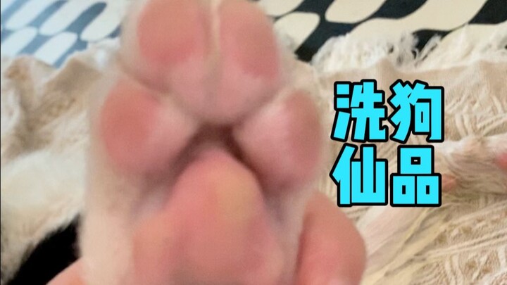 بخصوص سؤالك عن كيفية غسل الكلب بهذه الطريقة