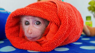 Most Handsome Boy!! So adorable tiny Luca well wrapped with a red towel waiting for Mom to comfort