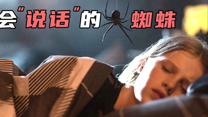 رعب أمريكي من الفئة B لعام 2024، عنكبوت يتكلم ويأكل البشر!