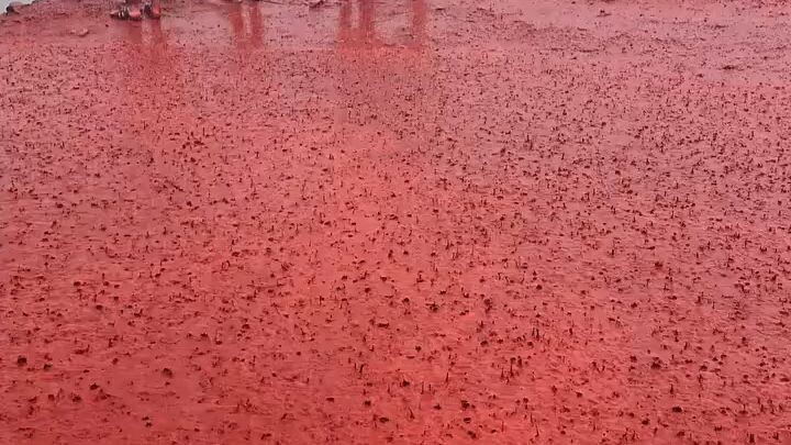 Believe it or not, those who climbed out of the abyss alone have become a changed person.