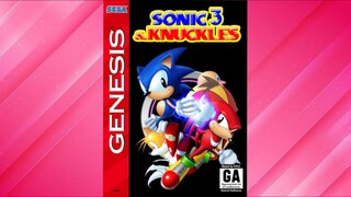 Sonic the hedgehog 3 and knuckles_1994