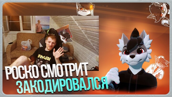 🐺 Роско смотрит VJLinkHero - Я закодировался от лудомании