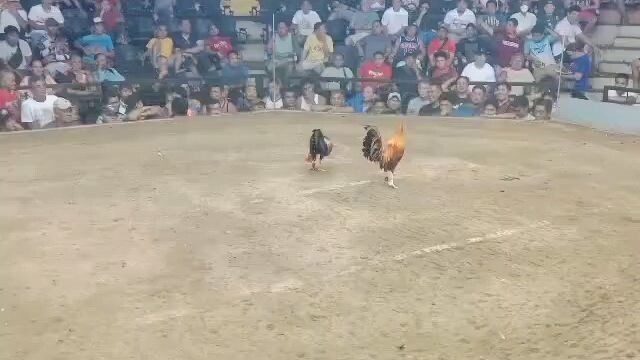 1st Win Unscratch Gold
