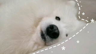 ฉันอยากพูดแทรกสักประโยคยังยาก