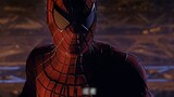 Tôi luôn cảm thấy: Chỉ có nữ chính phi thường mới yêu Peter, còn hai người kia yêu Spider-Man!