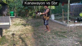 SBR VS kanawayon