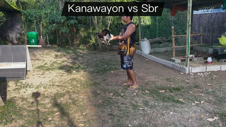 SBR VS kanawayon