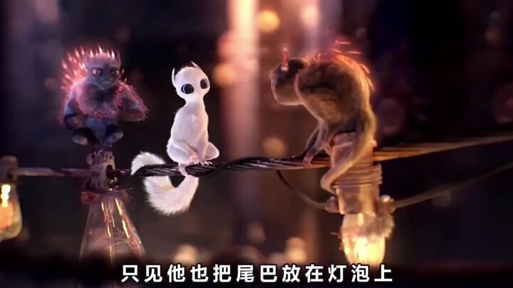 To find a wife, the monkey actually used its tail to touch high-voltage wires!