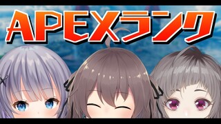 【APEX】ランクを垂れ流すやつをする！【ホロライブ/夏色まつり】