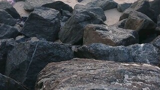 Beach at Kuala Perlis, Malaysia