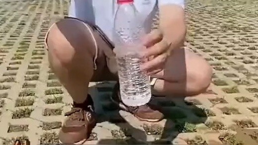 39(1)