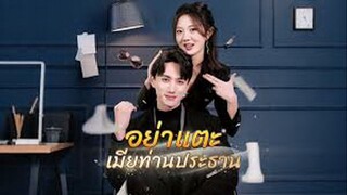 อย่าเเตะเมียท่านประธาน