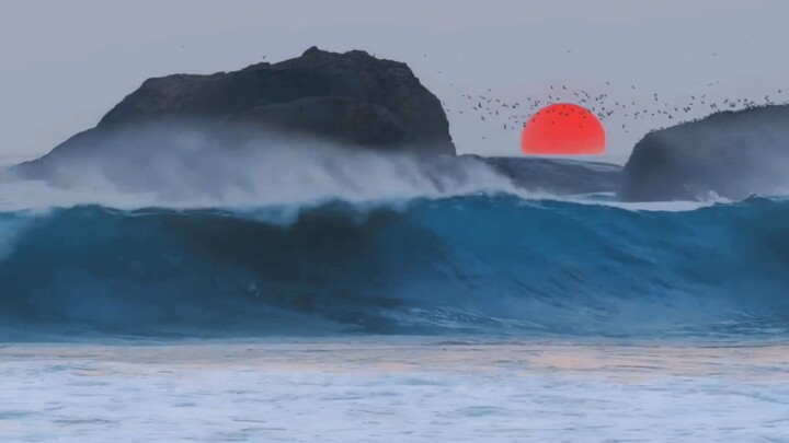 Hoàng hôn đắm chìm trong biển màu cam, gió chiều lạc lối trong tình yêu chân thành!
