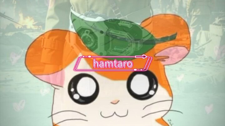 90-an hamtaro nih