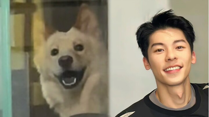 เกี่ยวกับน้องหมาของบ้านฉันที่หน้าเหมือนสวีกวงฮั่น