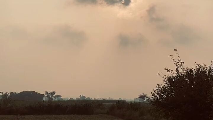 #viral