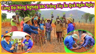 (Tập 198) Nông Nghiệp VIỆT NAM ở Châu Phi || Triển Khai Trồng Thêm Cây Ăn Quả Ngắn Ngày
