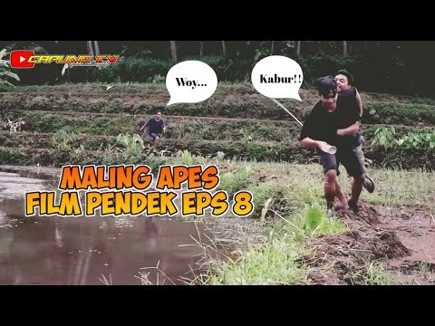Maling Apes - Film Pendek Episode 7
