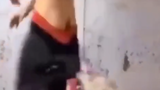”它从来不咬人的“