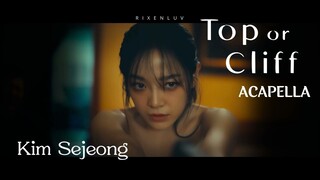 KIM SEJEONG (김세정) - ‘Top or Cliff' (ACAPELLA)