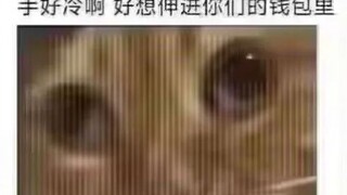 The funeral picture of Xia Dang