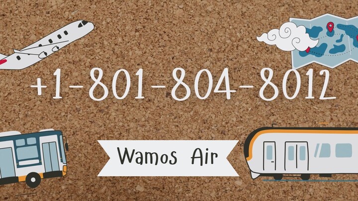 Número de Teléfono de Atención al Cliente de Wamos Air® – Guía Completa Paso a Paso 2025