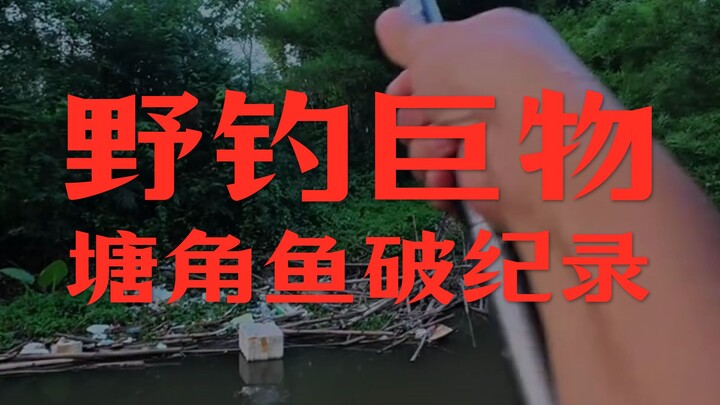 ในที่สุดก็ทำลายสถิติแล้ว! ตกปลาตงเจียวยักษ์กลางธรรมชาติ ลองเดากันดูว่าหนักเท่าไร ตอนกลับบ้านค่อยไปชั