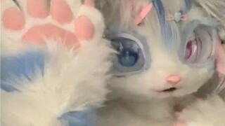 The fox has transformed and is in a mess. Contains 1000% human purity. Click carefully, if you don't