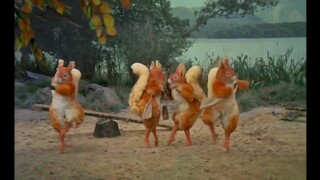Kisah Tupai Nutkin - Balet Kerajaan Balet Hewan