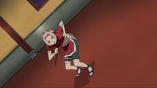 sakura's fight
