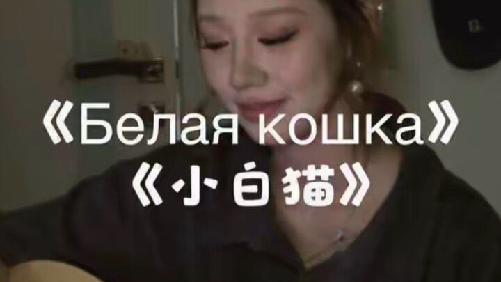Mèo trắng nhỏ | Em sẽ hóa thành mèo trắng nhỏ để mãi che chở cho anh — “Bạch miêu”