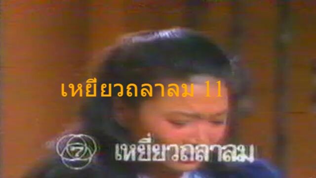เหยี่ยวถลาลม11