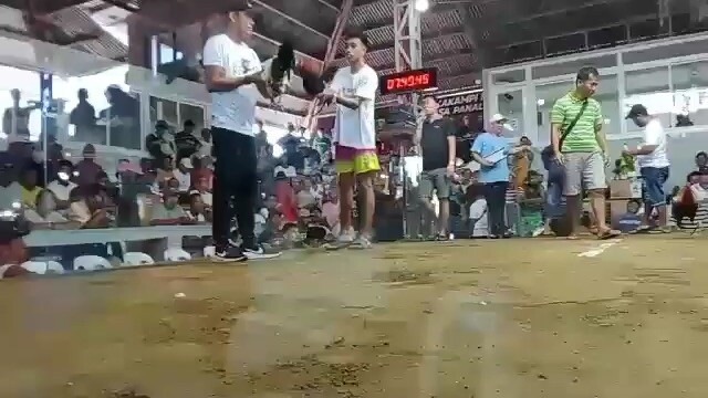 Kanawayon 2
