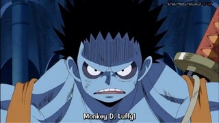 Kedatangan Luffy sangat diharapkan