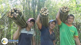 Đốn Tầm Vông Sửa Lại Hai Nhịp Cầu Tre | Hội Ngộ Miền Tây - Tập 248