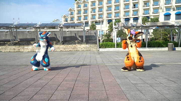 [Fursuit Dance] Infurnity 2019 !! Tamba & Rion Good morning on Friday!!