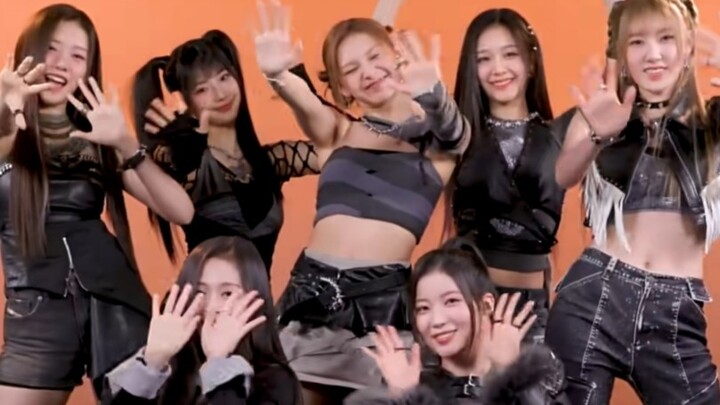 babymonster喜爱值排名评价