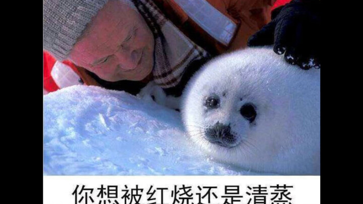 Do you want to be grilled or steamed? Hilarious online image collection #31