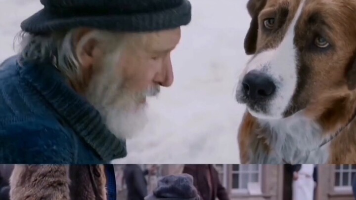 【The Call of the Wild】.Behind the scenes motion capture + behind the scenes vs. the movie