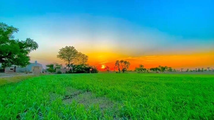Nature..