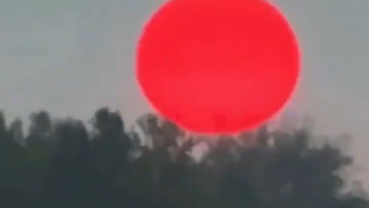 Should You Run or Stay When This Happens?