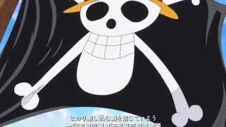 美丽古巴的海贼王《Hope》