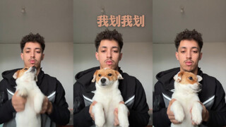 狗狗：发生森莫事了