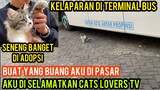 Allahu Akbar Kucing Cantik Menangis Di Buang Si Pasar Kakinya Pincang Seneng Banget Saat Di Adopsi.!