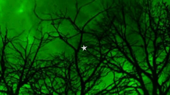 (Green) next is purple